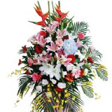 簲ʻٵ
