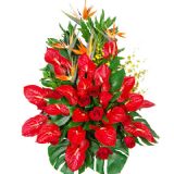 簲ʻٵ