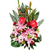 簲ʻٵ