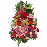 簲ʻٵ