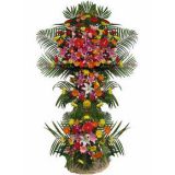 簲ʻٵ